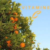 Vitamine C